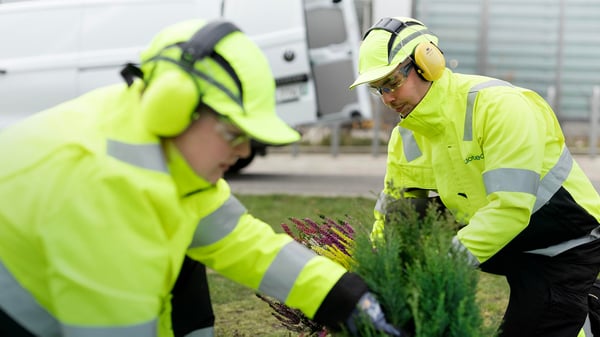 Luonnon monimuotoisuuden asialla – myös rikkaruohoja torjuessa