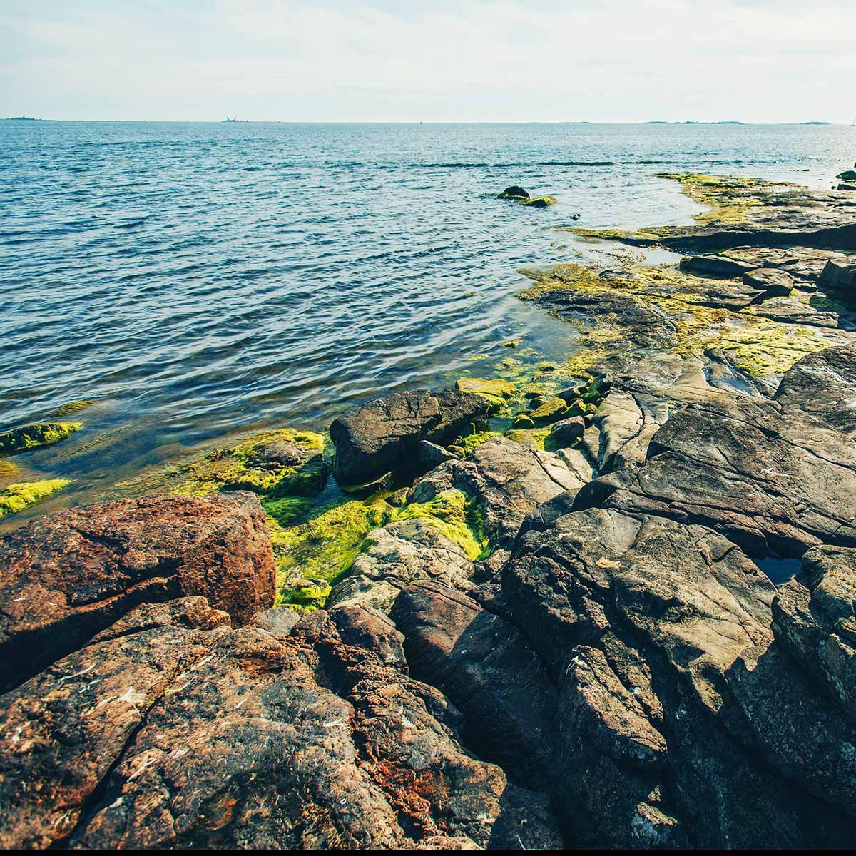 Luotea Kiinteistöpalvelut 1200x1200 08