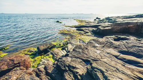 Luotea Kiinteistöpalvelut  2000x1125 08