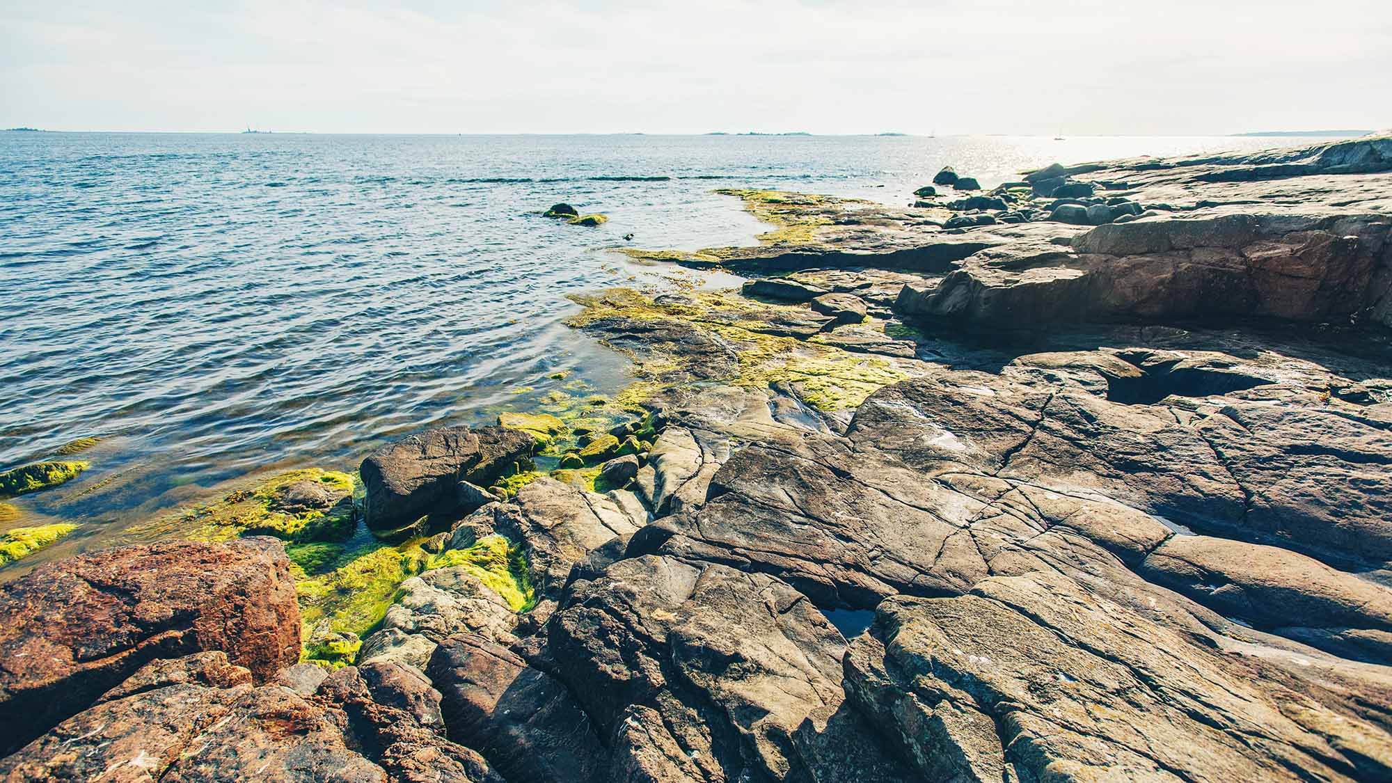 <span id="hs_cos_wrapper_name" class="hs_cos_wrapper hs_cos_wrapper_meta_field hs_cos_wrapper_type_text" style="" data-hs-cos-general-type="meta_field" data-hs-cos-type="text" >Erityisryhmät on saatava mukaan työelämään, mutta miten siinä onnistutaan?</span>