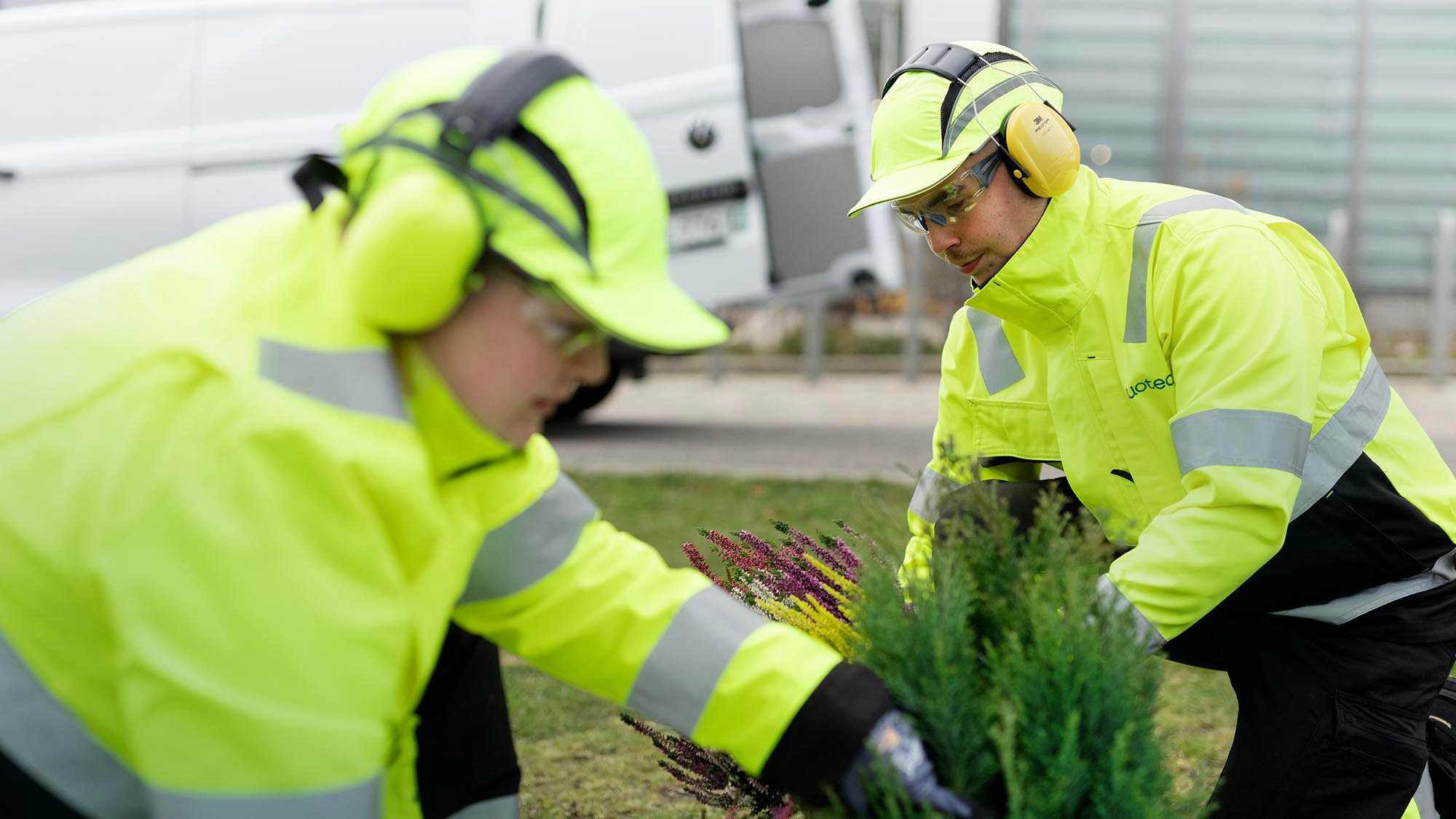 Aulapalveluista Luotean viherpalveluihin